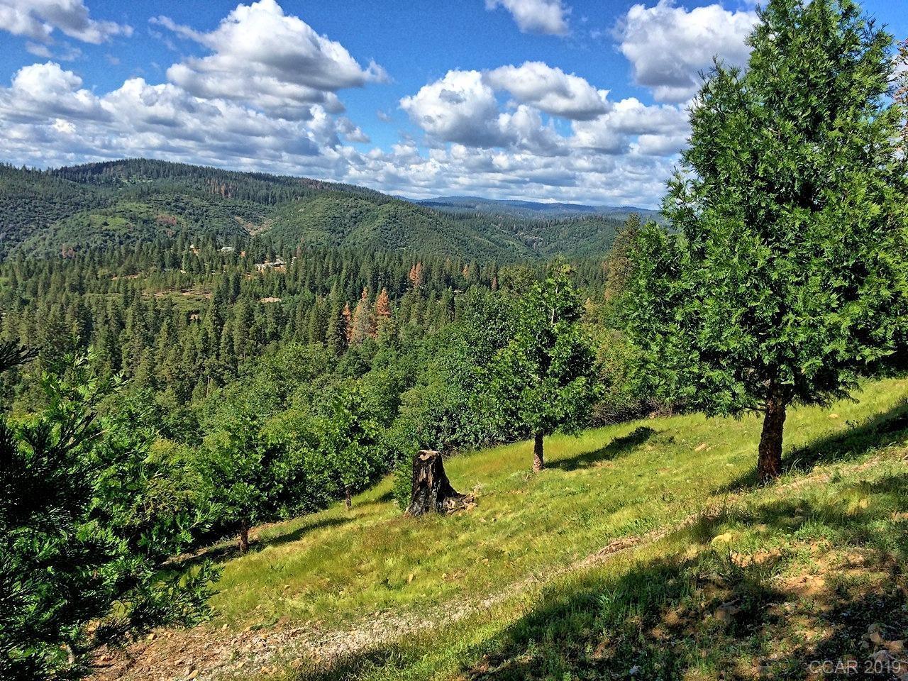 398 Snowberry Court, MURPHYS, California 95247, ,Lots And Land,For Sale,Snowberry Court,40963114