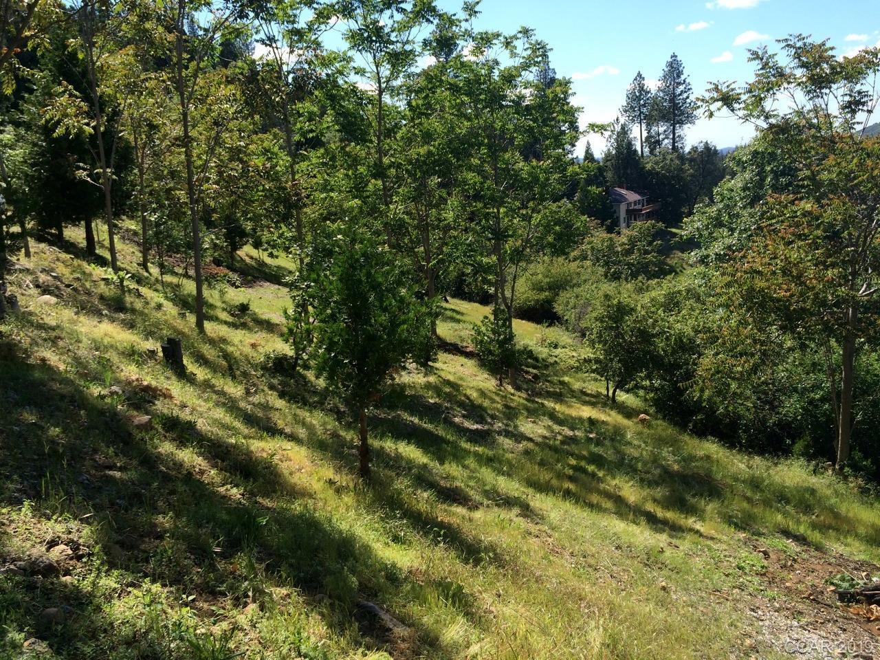 398 Snowberry Court, MURPHYS, California 95247, ,Lots And Land,For Sale,Snowberry Court,40963114