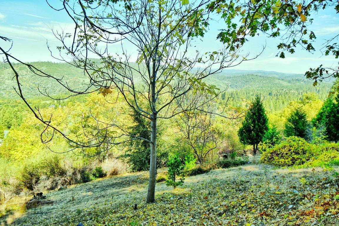 398 Snowberry Court, MURPHYS, California 95247, ,Lots And Land,For Sale,Snowberry Court,40963114