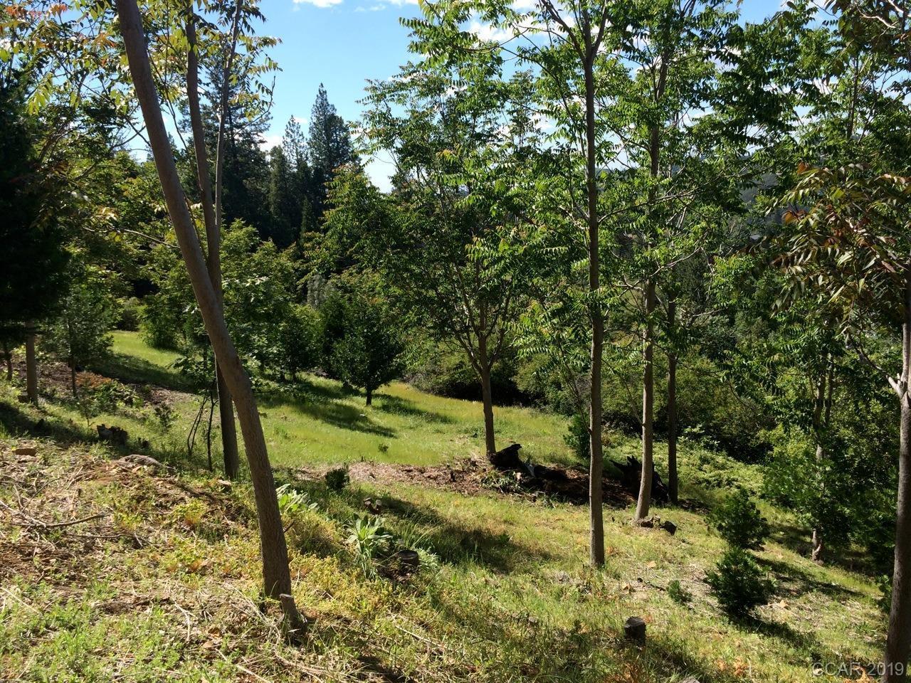 398 Snowberry Court, MURPHYS, California 95247, ,Lots And Land,For Sale,Snowberry Court,40963114