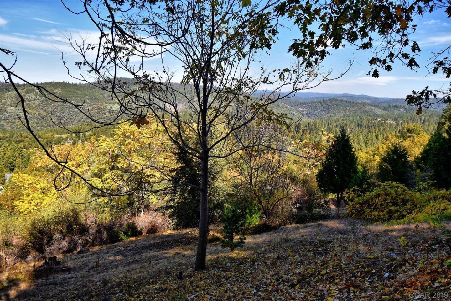 398 Snowberry Court, MURPHYS, California 95247, ,Lots And Land,For Sale,Snowberry Court,40963114