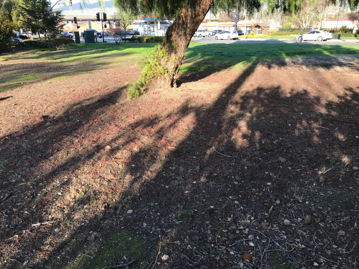 27 Main Street, MILPITAS, California 95035, ,Comm Lots And Land,For Sale,Main Street,40963117