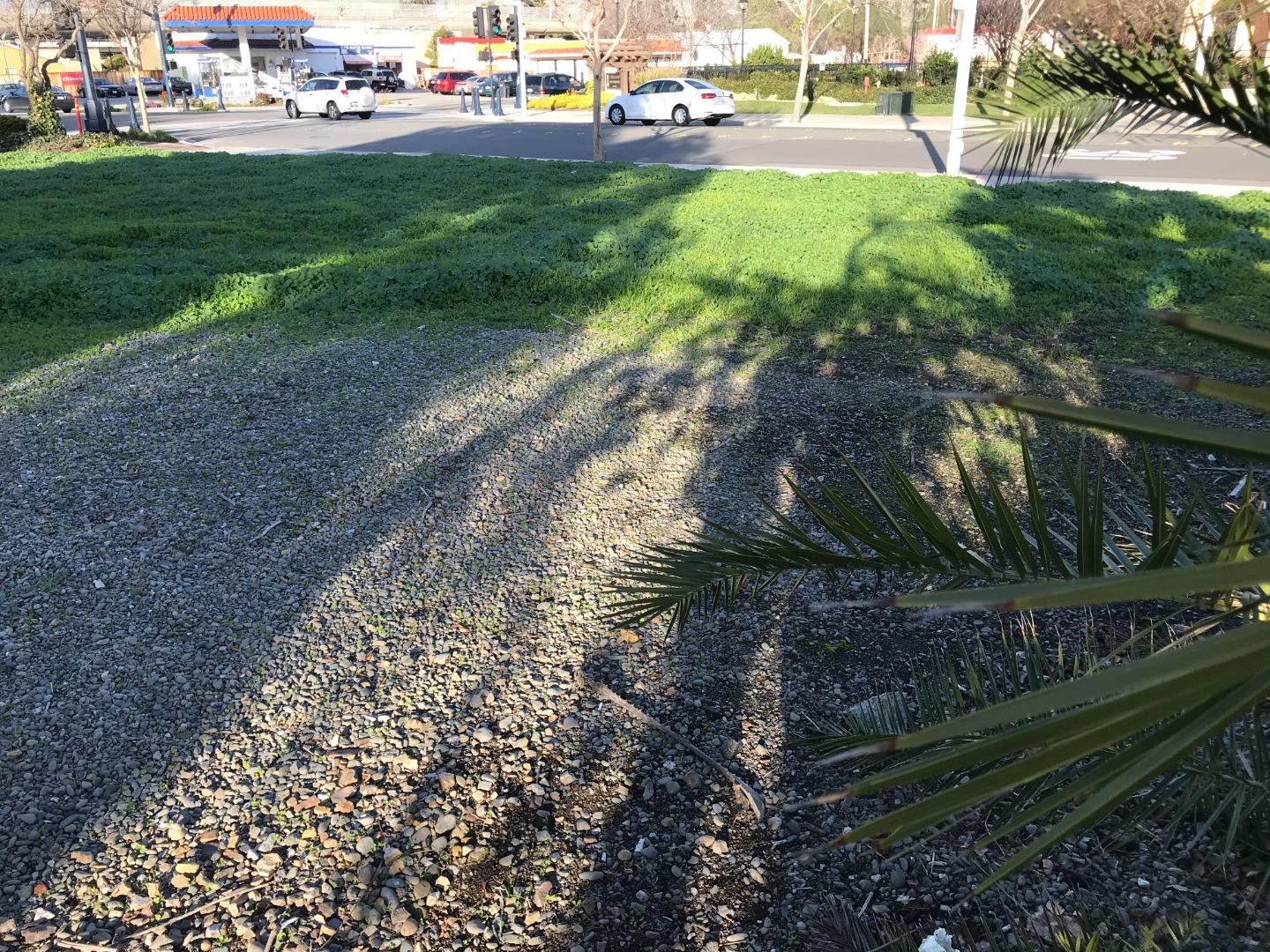 27 Main Street, MILPITAS, California 95035, ,Comm Lots And Land,For Sale,Main Street,40963117