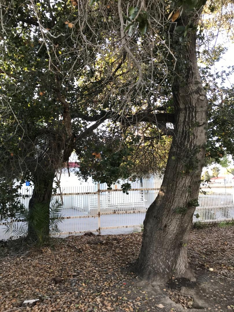 27 Main Street, MILPITAS, California 95035, ,Comm Lots And Land,For Sale,Main Street,40963117