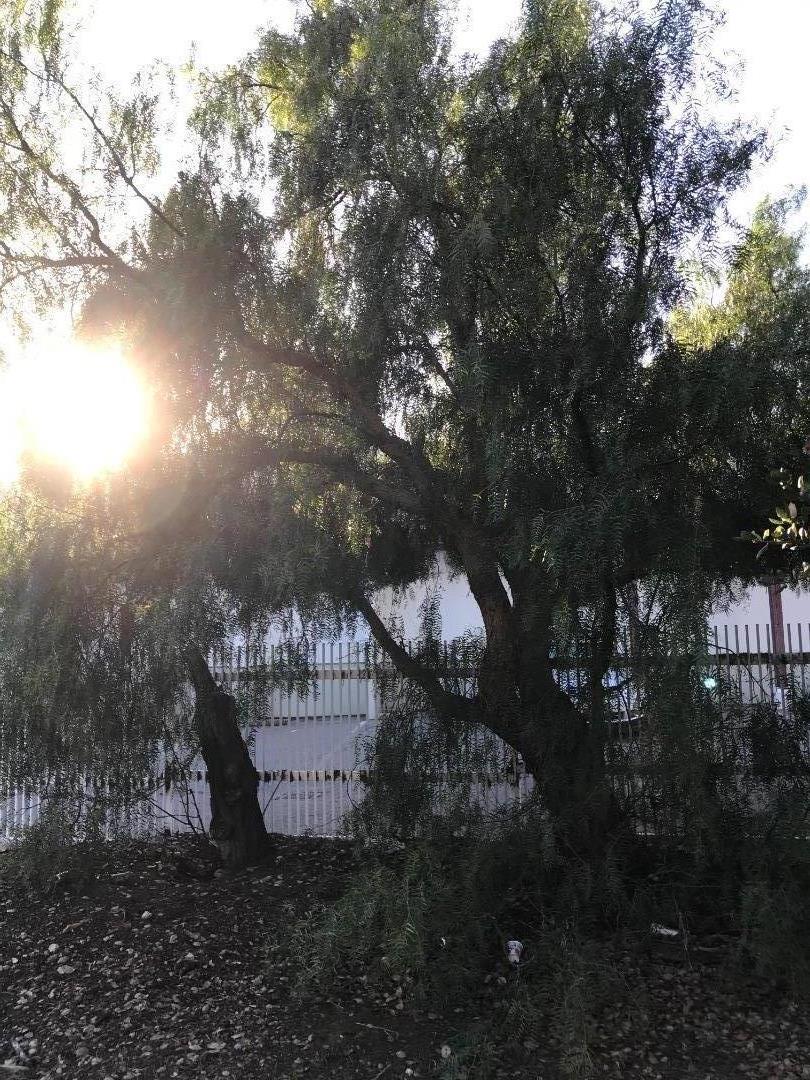 27 Main Street, MILPITAS, California 95035, ,Comm Lots And Land,For Sale,Main Street,40963117