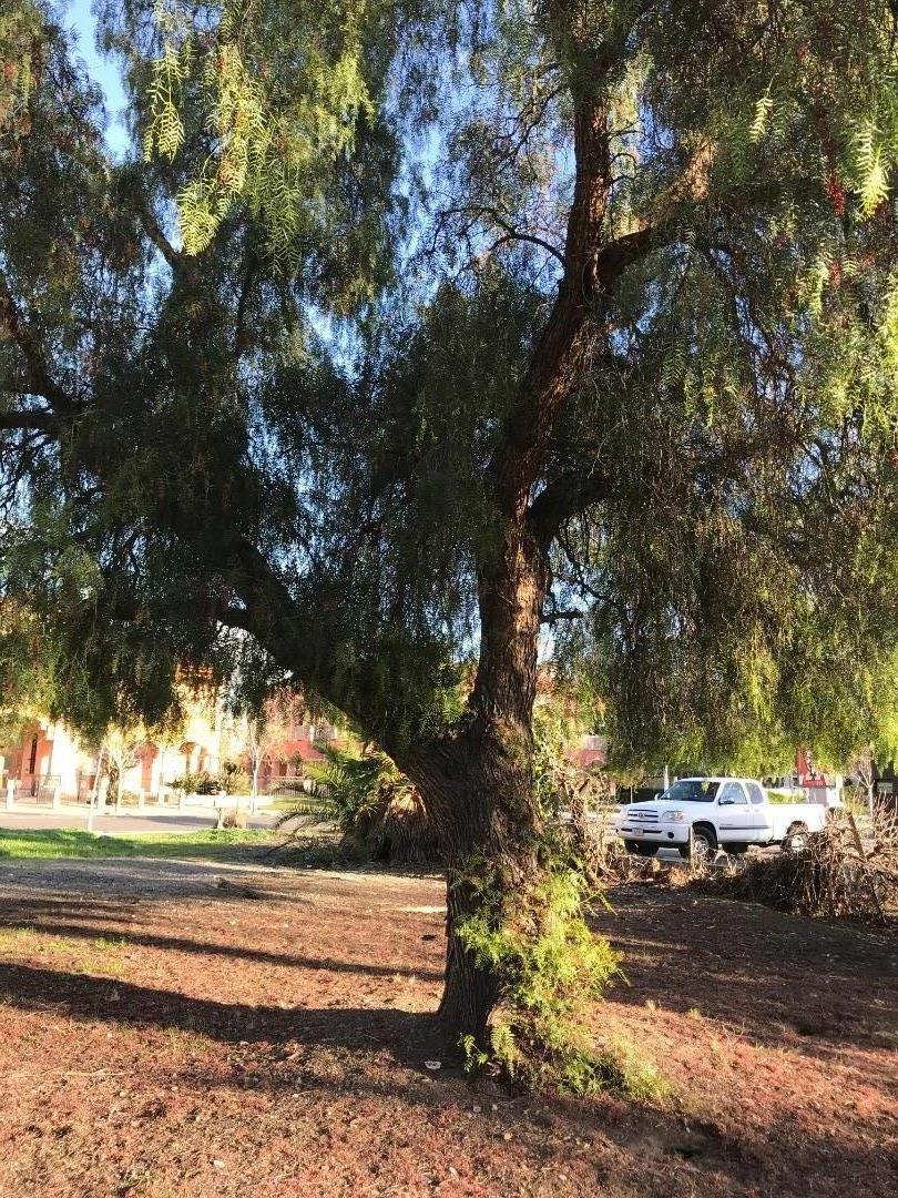 27 Main Street, MILPITAS, California 95035, ,Comm Lots And Land,For Sale,Main Street,40963117