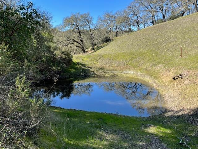 0 Poli Road, MORGAN HILL, California 95037, ,Lots And Land,For Sale,Poli Road,40963146
