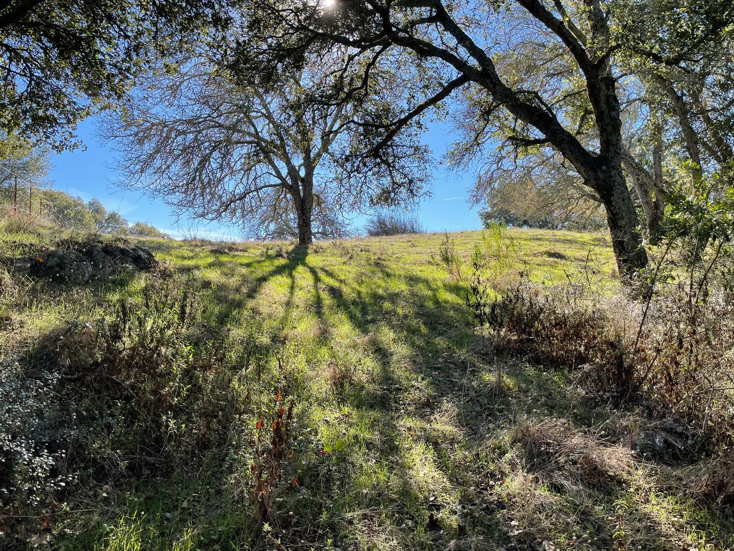 0 Poli Road, MORGAN HILL, California 95037, ,Lots And Land,For Sale,Poli Road,40963146
