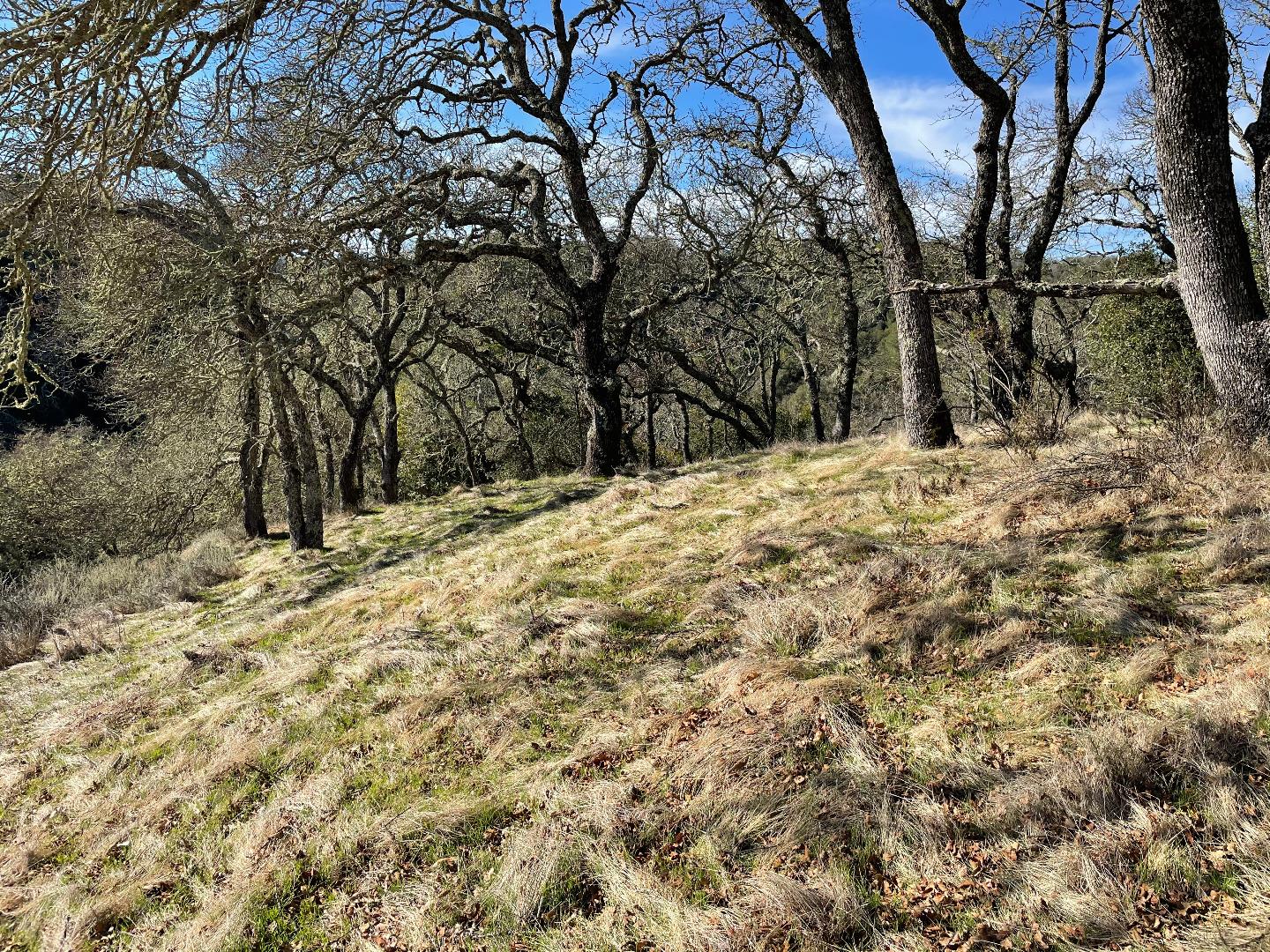 0 Poli Road, MORGAN HILL, California 95037, ,Lots And Land,For Sale,Poli Road,40963146