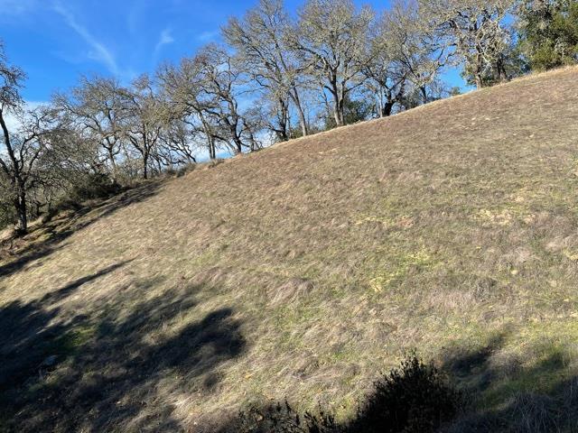 0 Poli Road, MORGAN HILL, California 95037, ,Lots And Land,For Sale,Poli Road,40963146