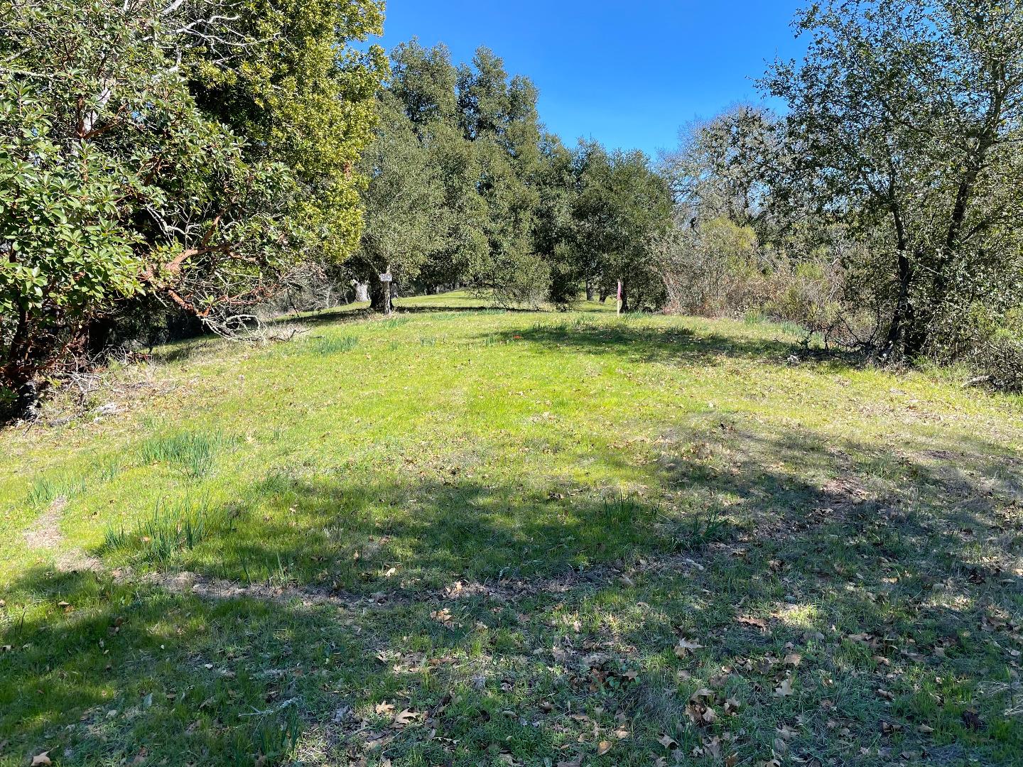 0 Poli Road, MORGAN HILL, California 95037, ,Lots And Land,For Sale,Poli Road,40963146