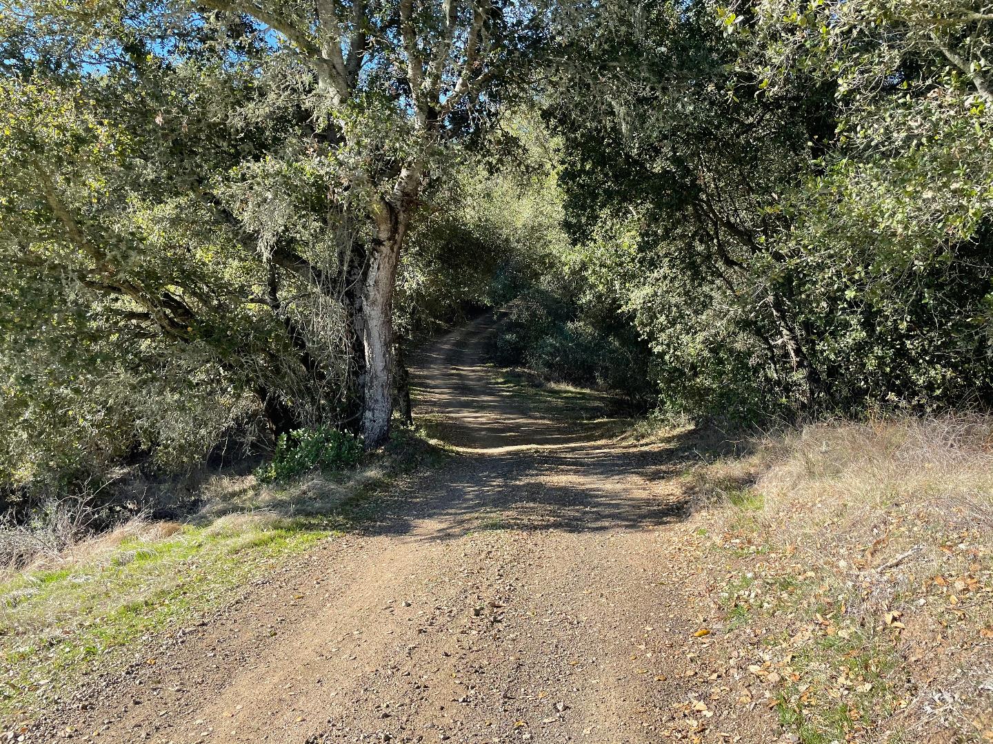 0 Poli Road, MORGAN HILL, California 95037, ,Lots And Land,For Sale,Poli Road,40963146