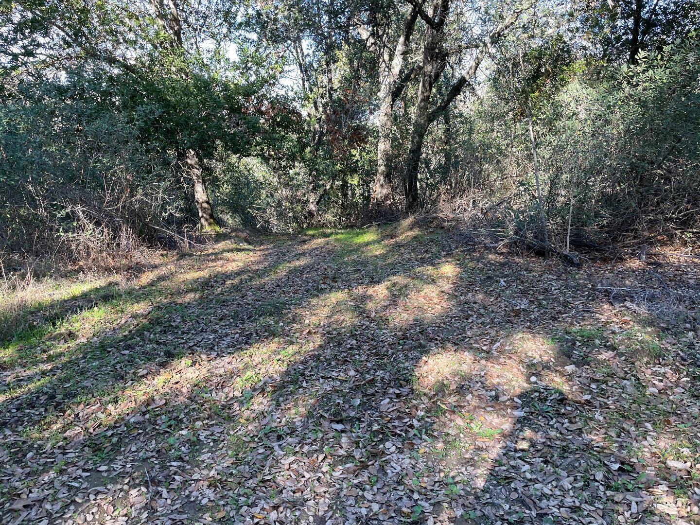 0 Poli Road, MORGAN HILL, California 95037, ,Lots And Land,For Sale,Poli Road,40963146