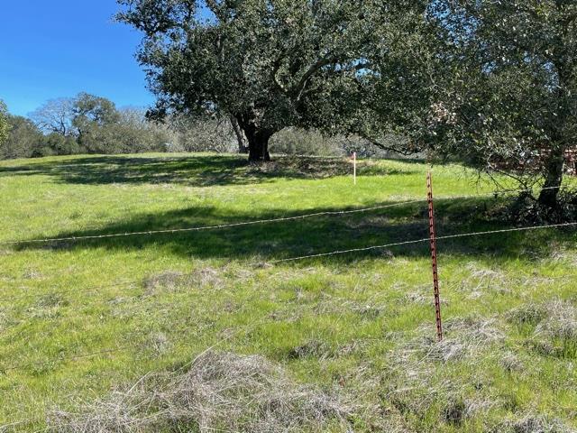 0 Poli Road, MORGAN HILL, California 95037, ,Lots And Land,For Sale,Poli Road,40963146
