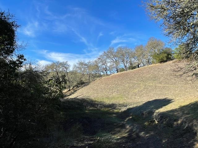 0 Poli Road, MORGAN HILL, California 95037, ,Lots And Land,For Sale,Poli Road,40963146