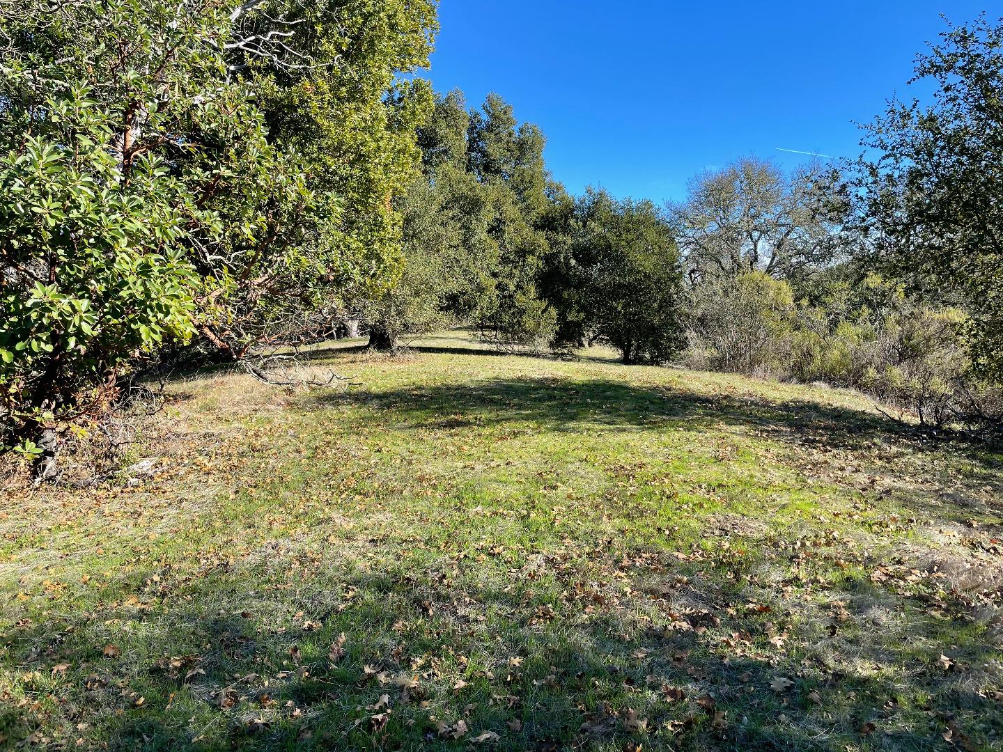 0 Poli Road, MORGAN HILL, California 95037, ,Lots And Land,For Sale,Poli Road,40963146