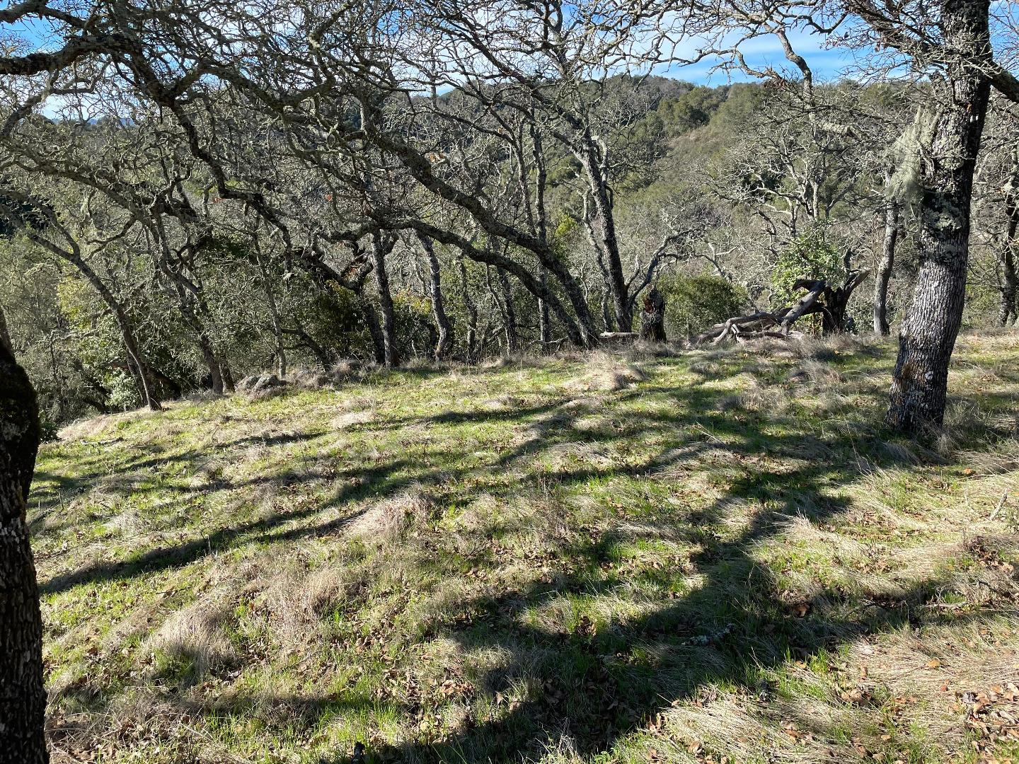 0 Poli Road, MORGAN HILL, California 95037, ,Lots And Land,For Sale,Poli Road,40963146