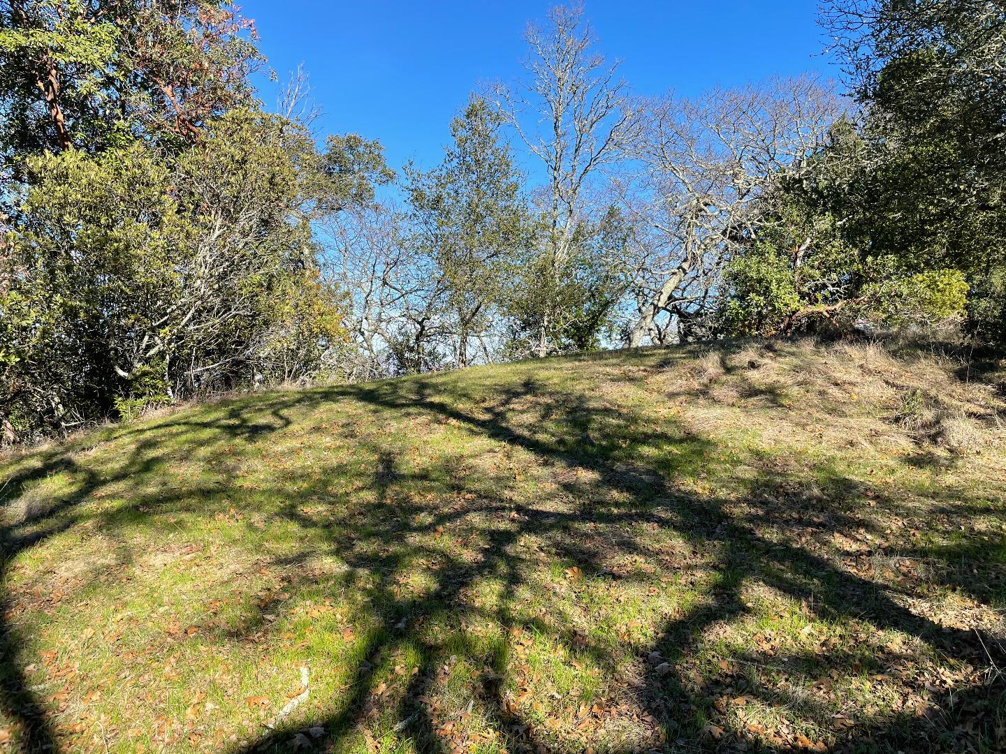 0 Poli Road, MORGAN HILL, California 95037, ,Lots And Land,For Sale,Poli Road,40963146
