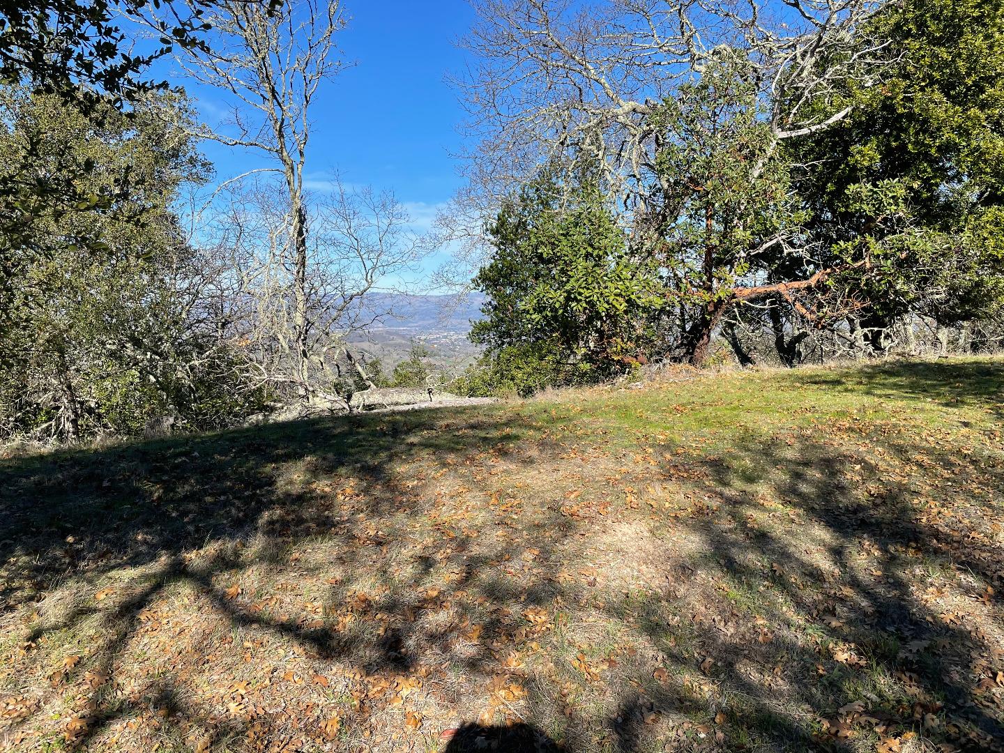 0 Poli Road, MORGAN HILL, California 95037, ,Lots And Land,For Sale,Poli Road,40963146