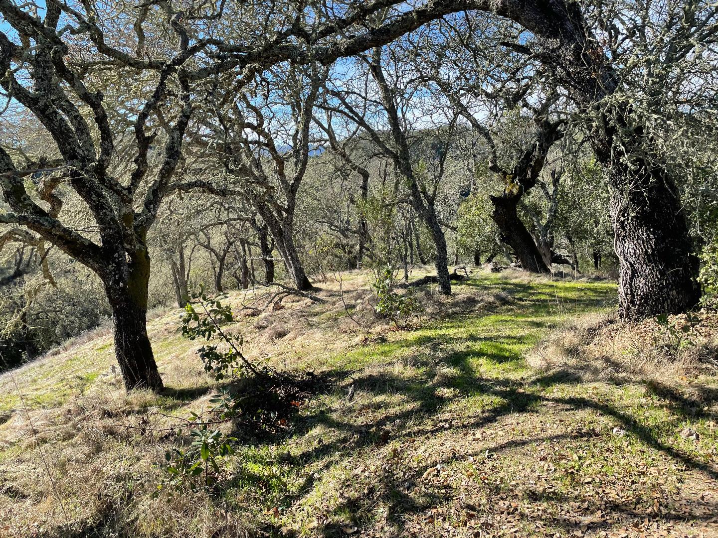 0 Poli Road, MORGAN HILL, California 95037, ,Lots And Land,For Sale,Poli Road,40963146