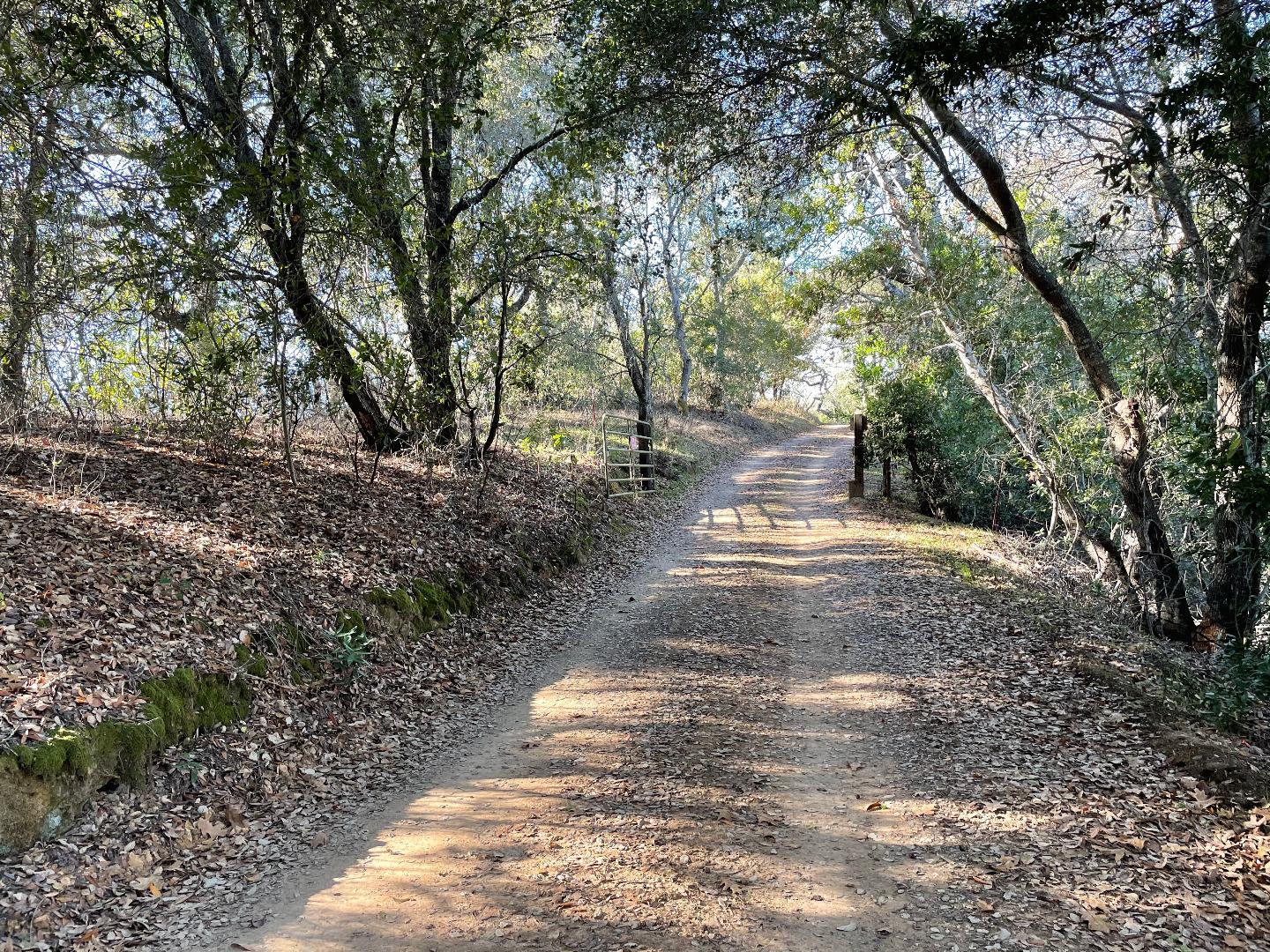 0 Poli Road, MORGAN HILL, California 95037, ,Lots And Land,For Sale,Poli Road,40963146