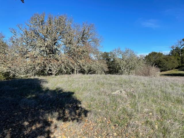 0 Poli Road, MORGAN HILL, California 95037, ,Lots And Land,For Sale,Poli Road,40963146