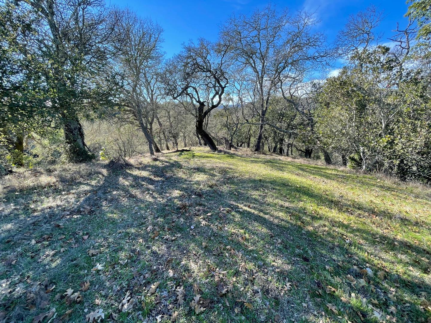0 Poli Road, MORGAN HILL, California 95037, ,Lots And Land,For Sale,Poli Road,40963146