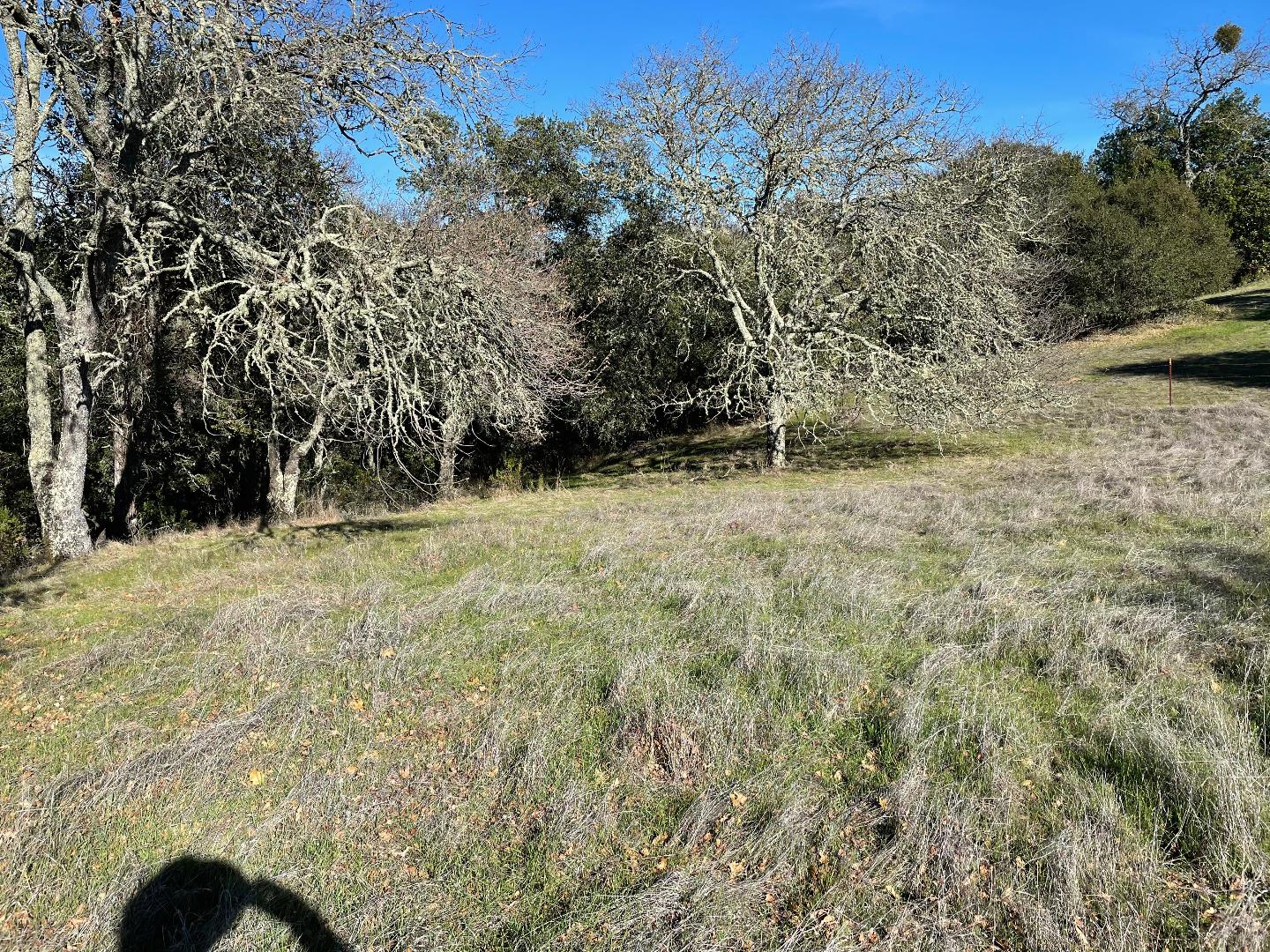 0 Poli Road, MORGAN HILL, California 95037, ,Lots And Land,For Sale,Poli Road,40963146