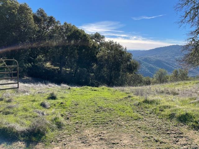 0 Poli Road, MORGAN HILL, California 95037, ,Lots And Land,For Sale,Poli Road,40963146