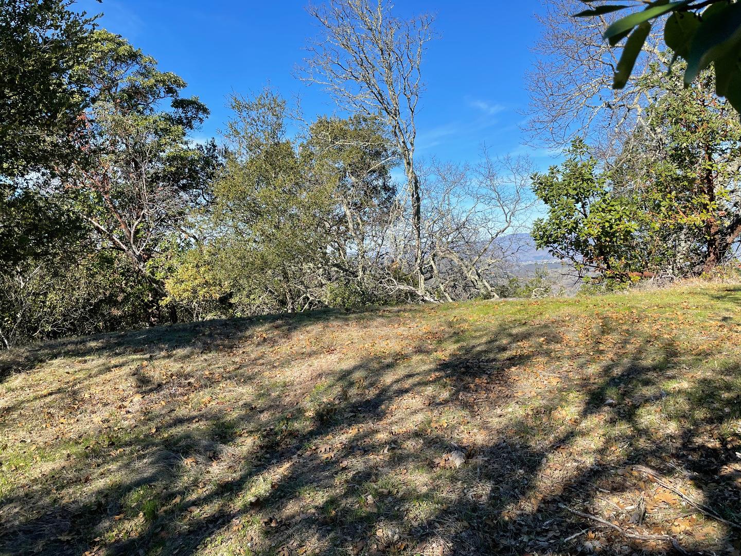 0 Poli Road, MORGAN HILL, California 95037, ,Lots And Land,For Sale,Poli Road,40963146