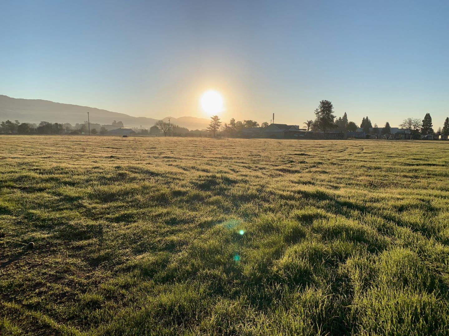 13705 Sycamore Avenue, SAN MARTIN, California 95046, ,Lots And Land,For Sale,Sycamore Avenue,40963148