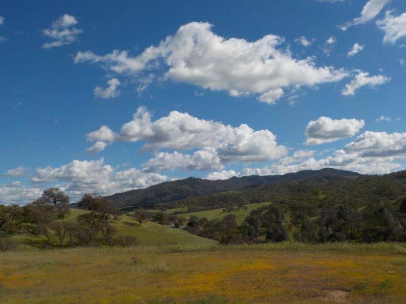 Detail Gallery Image 1 of 1 For Lot D Panoche Rd, Paicines,  CA 95043 - – Beds | – Baths