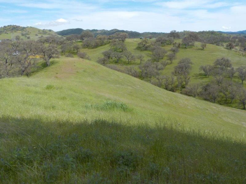 Lot D Panoche Road, PAICINES, California 95043, ,Lots And Land,For Sale,Panoche Road,40963151