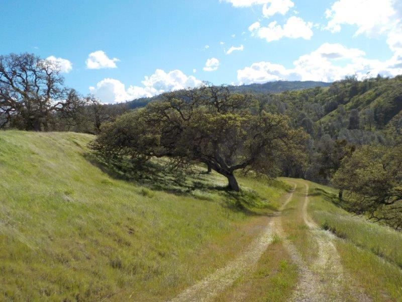 Lot D Panoche Road, PAICINES, California 95043, ,Lots And Land,For Sale,Panoche Road,40963151