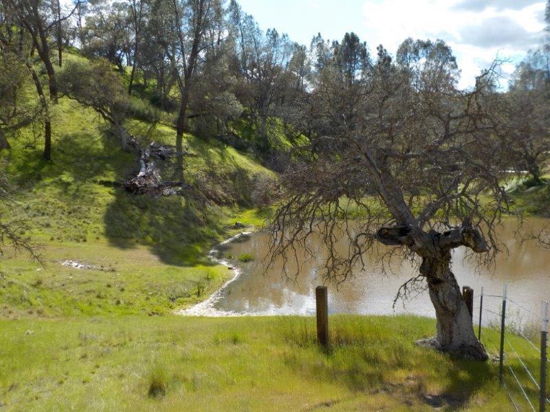 Lot D Panoche Road, PAICINES, California 95043, ,Lots And Land,For Sale,Panoche Road,40963151