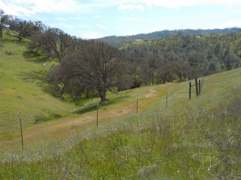 Lot D Panoche Road, PAICINES, California 95043, ,Lots And Land,For Sale,Panoche Road,40963151