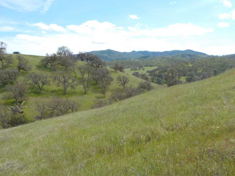 Lot D Panoche Road, PAICINES, California 95043, ,Lots And Land,For Sale,Panoche Road,40963151