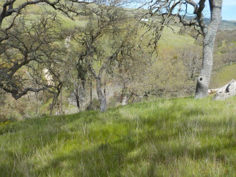 Lot D Panoche Road, PAICINES, California 95043, ,Lots And Land,For Sale,Panoche Road,40963151