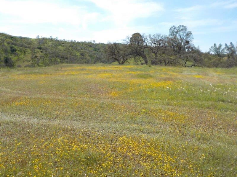 Lot D Panoche Road, PAICINES, California 95043, ,Lots And Land,For Sale,Panoche Road,40963151