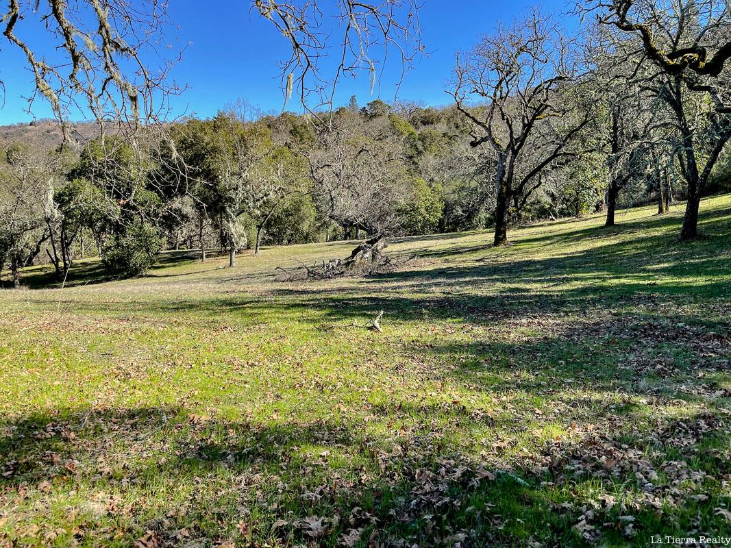 22 Arroyo Sequoia, CARMEL, California 93923, ,Lots And Land,For Sale,Arroyo Sequoia,40963163