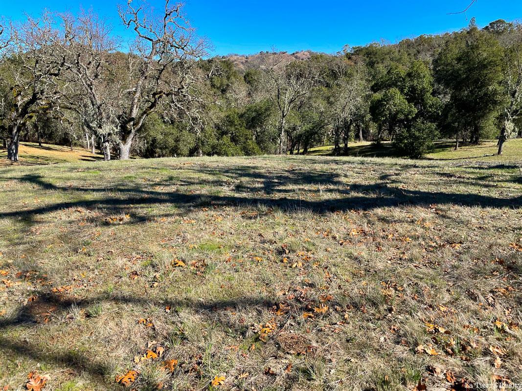 22 Arroyo Sequoia, CARMEL, California 93923, ,Lots And Land,For Sale,Arroyo Sequoia,40963163