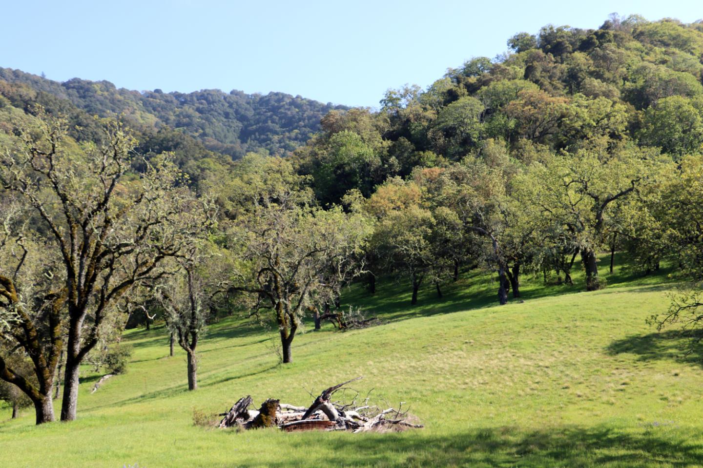 22 Arroyo Sequoia, CARMEL, California 93923, ,Lots And Land,For Sale,Arroyo Sequoia,40963163