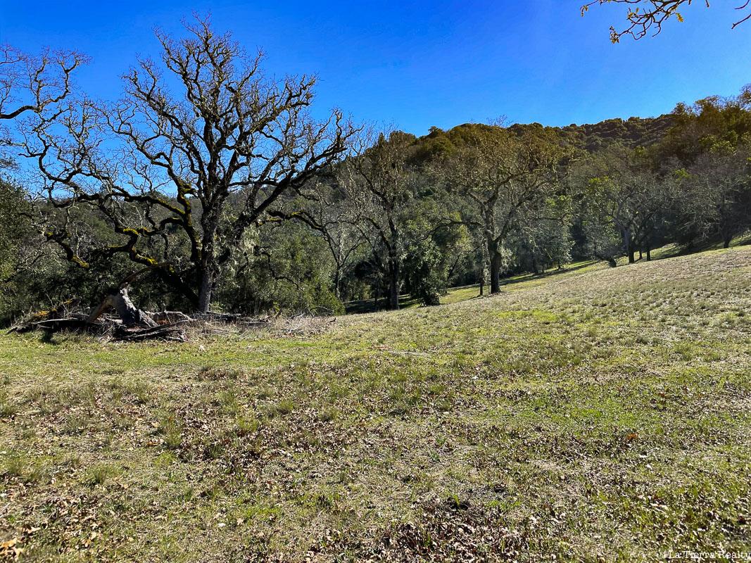 22 Arroyo Sequoia, CARMEL, California 93923, ,Lots And Land,For Sale,Arroyo Sequoia,40963163