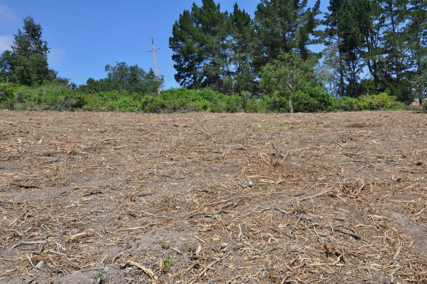 26149 Rinconada Drive, CARMEL VALLEY, California 93924, ,Lots And Land,For Sale,Rinconada Drive,40963183