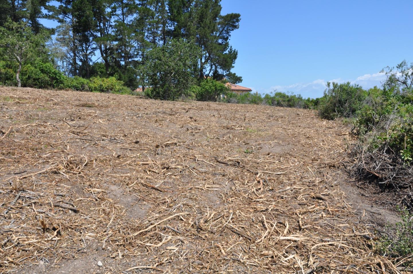 26149 Rinconada Drive, CARMEL VALLEY, California 93924, ,Lots And Land,For Sale,Rinconada Drive,40963183