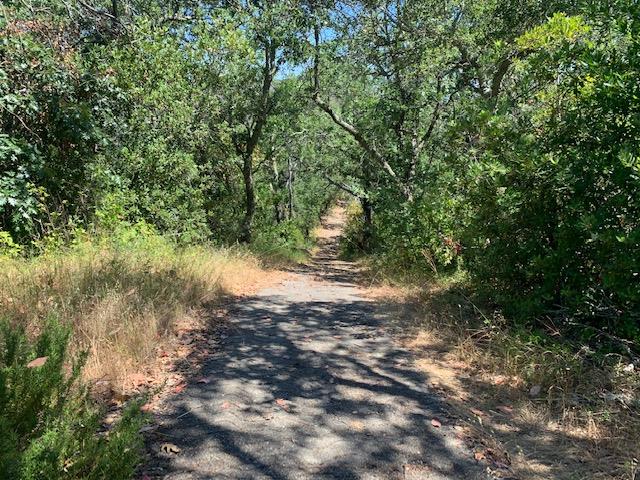 0 Uvas Road, MORGAN HILL, California 95037, ,Lots And Land,For Sale,Uvas Road,40963208