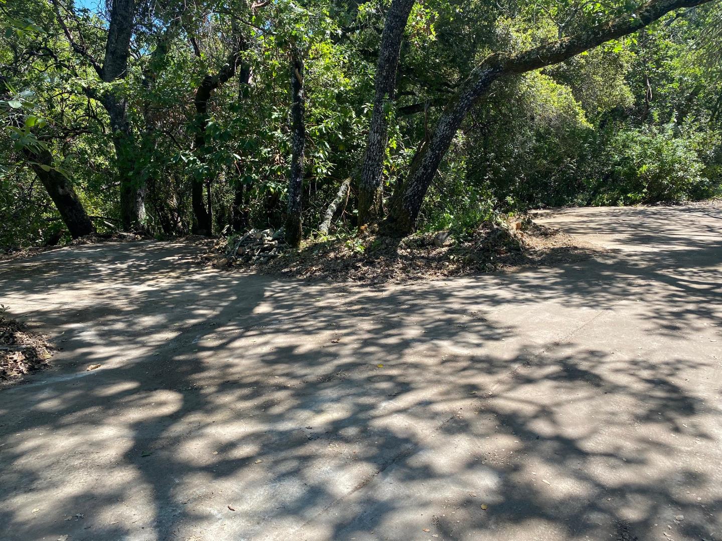 0 Uvas Road, MORGAN HILL, California 95037, ,Lots And Land,For Sale,Uvas Road,40963208