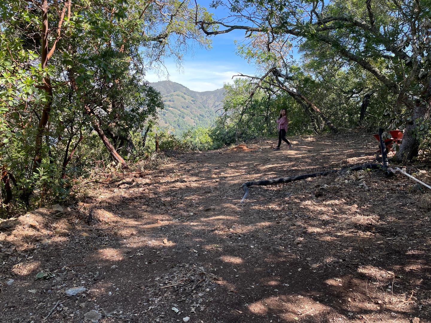 0 Uvas Road, MORGAN HILL, California 95037, ,Lots And Land,For Sale,Uvas Road,40963208