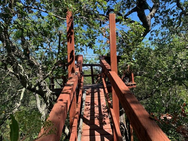 0 Uvas Road, MORGAN HILL, California 95037, ,Lots And Land,For Sale,Uvas Road,40963208