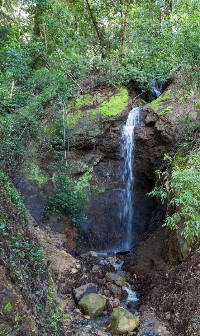 20411 Harvey Way, LOS GATOS, California 95033, ,Lots And Land,For Sale,Harvey Way,40963219